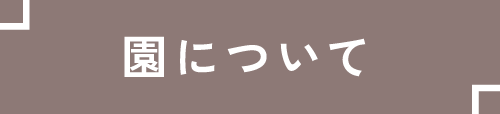 園のご紹介